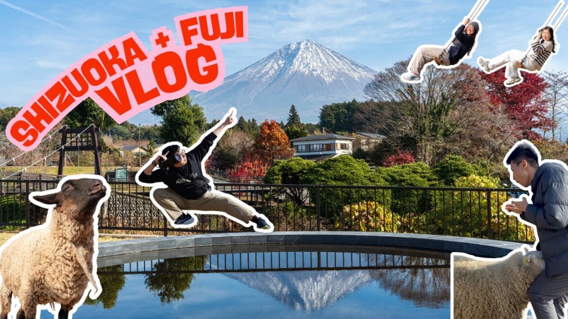 Shizuoka and Mount Fuji Japan Vlog (Dec 2025)