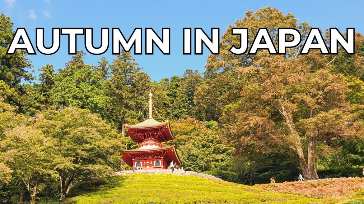 Refreshing Solo Trip to Japan’s Katsuoji Temple ⛩️ & Minoh Falls 🏞️| Japan Travel Vlog 🇯🇵​