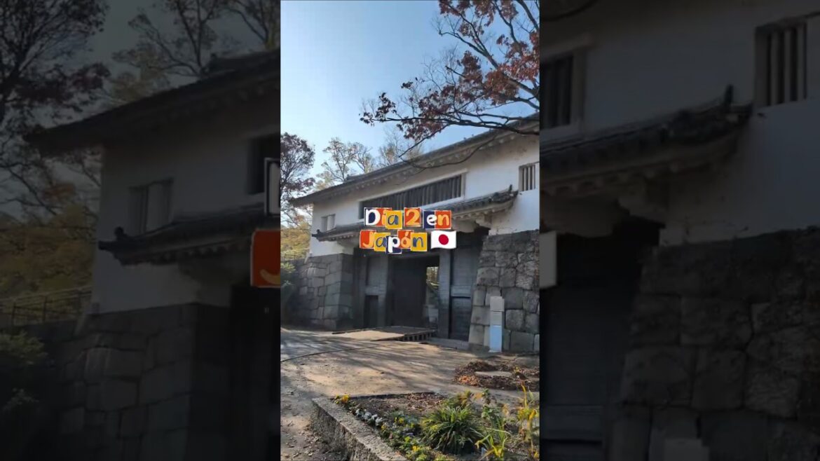 One Day in Osaka, Japan - The Ultimate Travel Guide