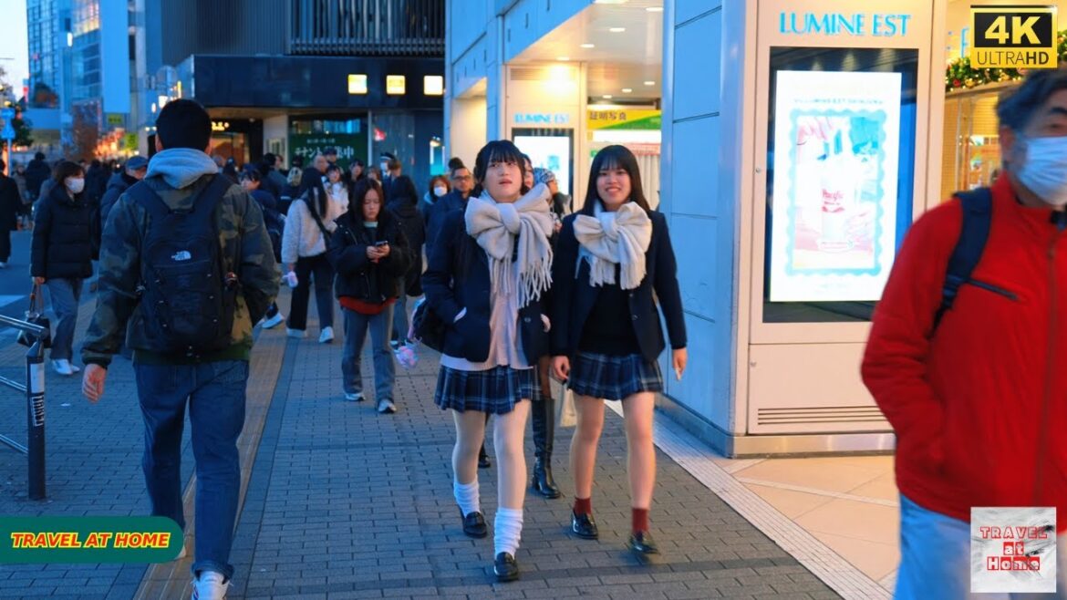 4K HDR Japan travel 2025 | Walk in Shinjuku(新宿)Tokyo Japan |Relaxing Natural City ambience 4K HDR Japan travel 2025 | Walk in Shinjuku(新宿)Tokyo Japan |Relaxing Natural City ambience