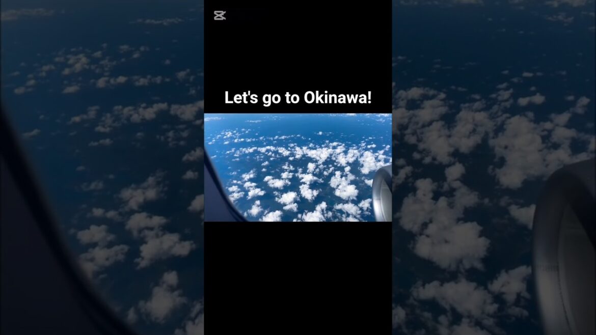 Let's go to Okinawa! #travel #okinawa #peachairlines #japantravel
