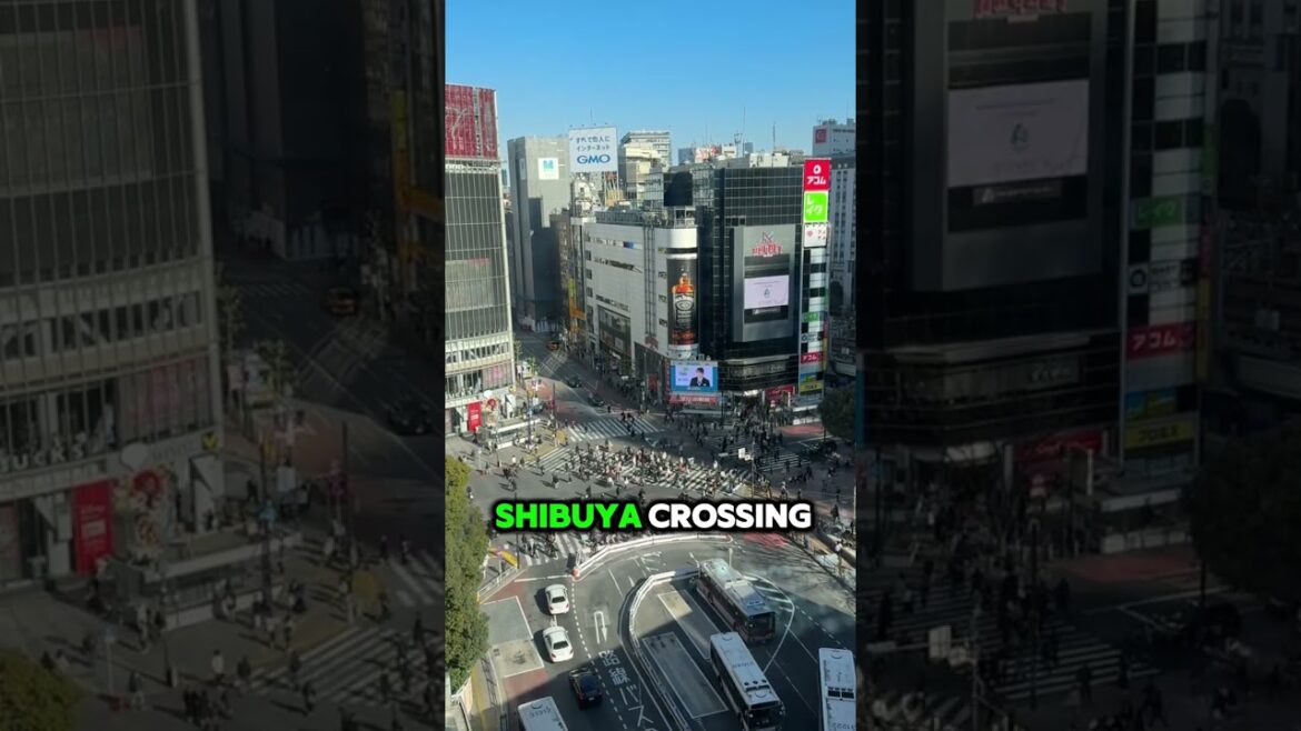 Top 3 Must-Visit Places in Japan! #travel #japan #explore