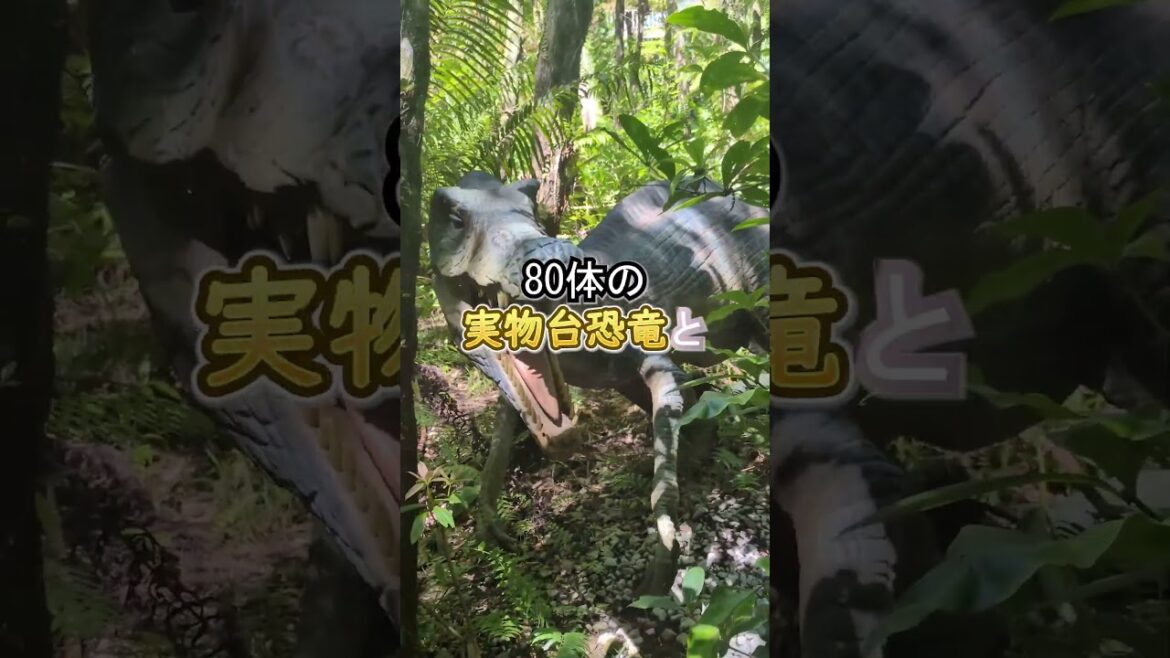 【1000円の衝撃】ジャングリアから2kmの神コスパ施設