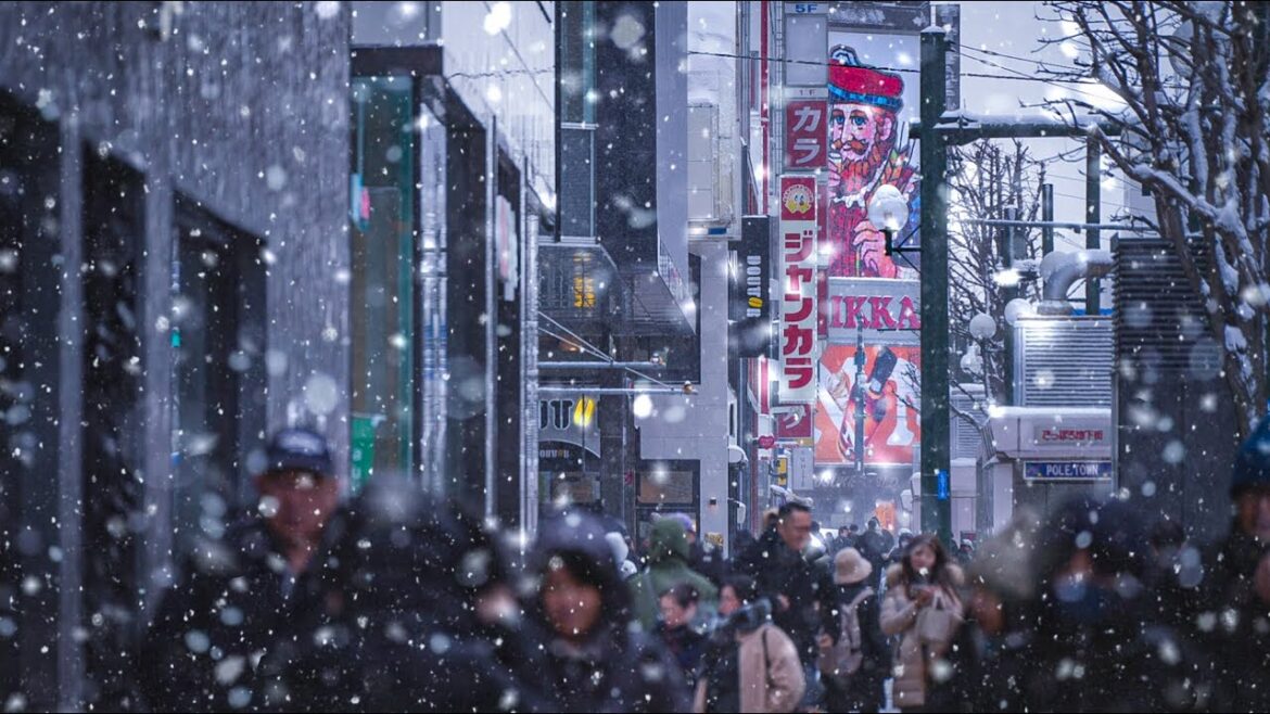 Snowy Walk Through Hokkaido Japan | Sapporo to Susukino Snowy Walk Through Hokkaido Japan | Sapporo to Susukino