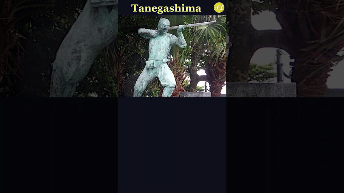 Gateway of firearms to Japan #Shorts Gateway of firearms to Japan #Shorts