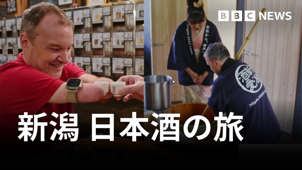 BBC記者が酒造り体験　新潟で日本酒文化にふれる