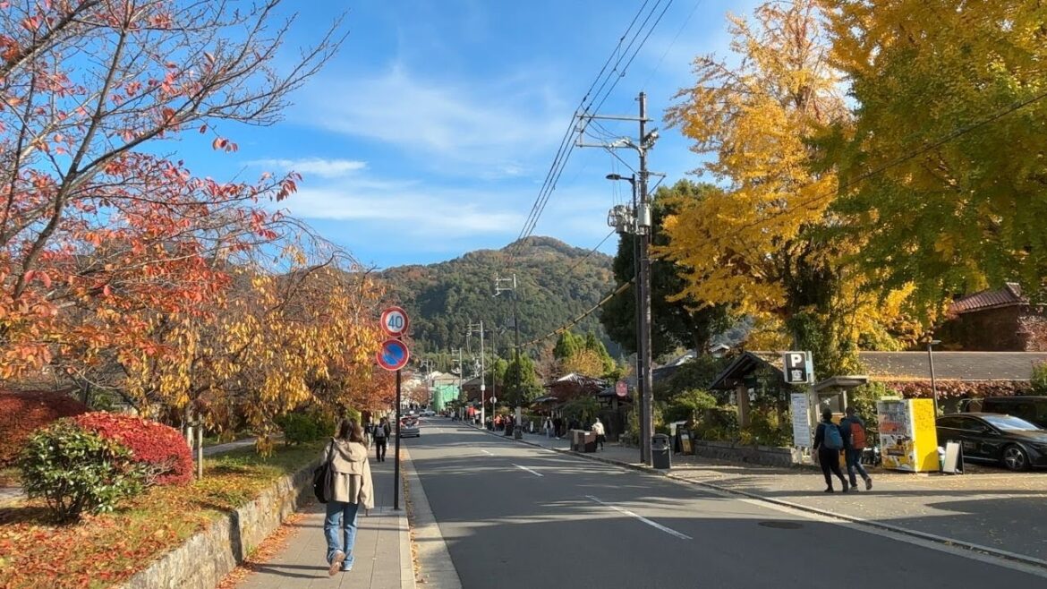 Autumn Leaves Cityscape Kyoto Japan 2025 Nov
