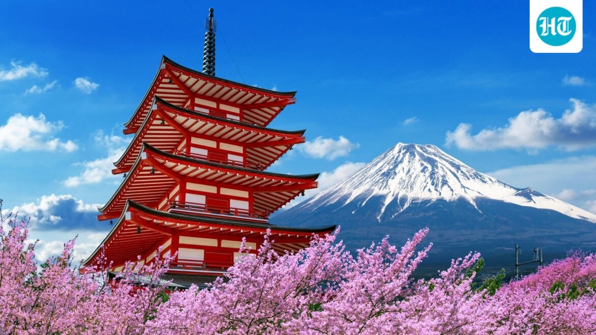 Travelling to Japan for the first time? Check ‘what not to do’ and all the hacks you need to know before you go Travelling to Japan for the first time? Check 'what not to do' and all the hacks you need to know before you go