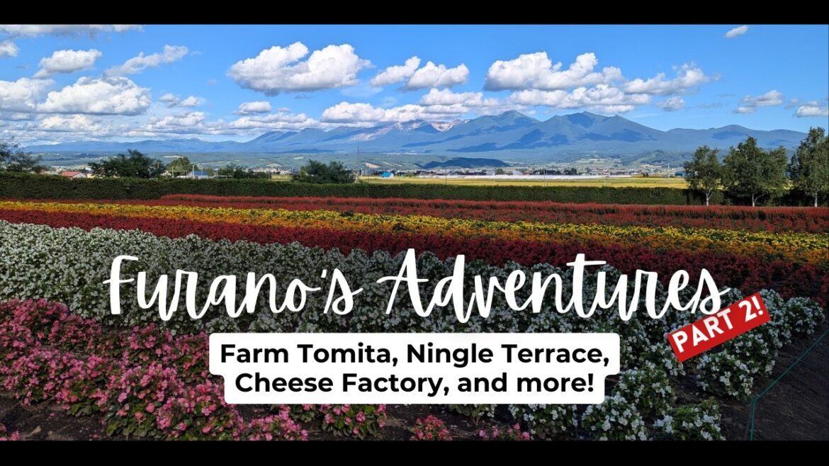 Iconic Farm Tomita + Cheese Factory: Finishing Our Peaceful Day Trip in Furano, Hokkaido! Iconic Farm Tomita + Cheese Factory: Finishing Our Peaceful Day Trip in Furano, Hokkaido!