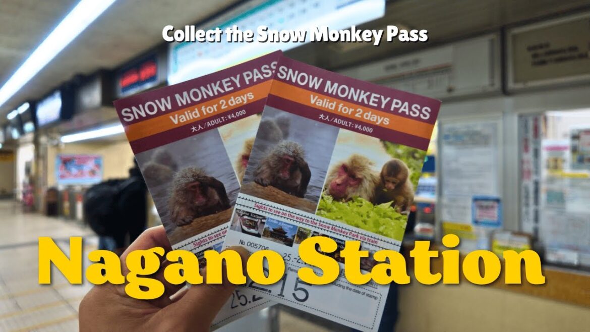 Where to collect the Snow Monkey Day Pass | Nagano Station 🇯🇵🐵