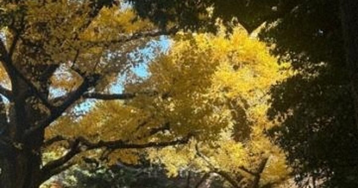 Living in Japan — An Exchange Student’s View: Once-in-a-lifetime encounters (Pt. 11) Living in Japan -- An Exchange Student's View: Once-in-a-lifetime encounters (Pt. 11)