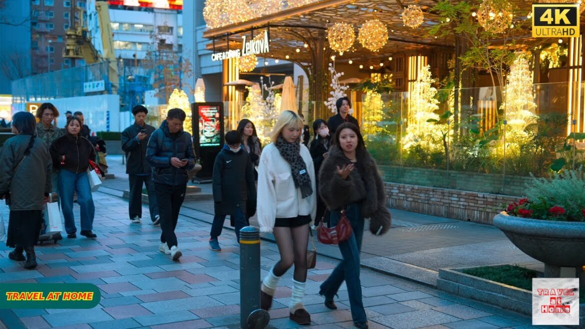 4K HDR Japan travel 2025 | Walk in Harajuku（原宿）Tokyo Japan |Relaxing Natural City ambience