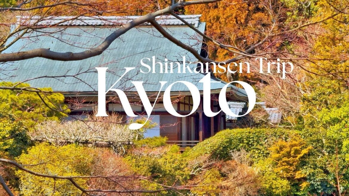 Kyoto Travel Vlog | Tokyo to Kyoto by Shinkansen | Exploring Kyoto | Silent Vlog | Japan Diaries #4