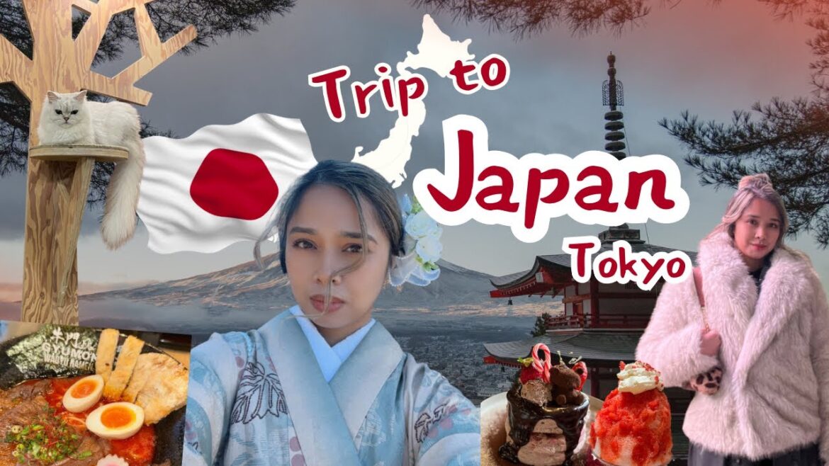 Japan Trip | 3 days Tokyo Itinerary, where to eat, places to go with food cost and expenses
