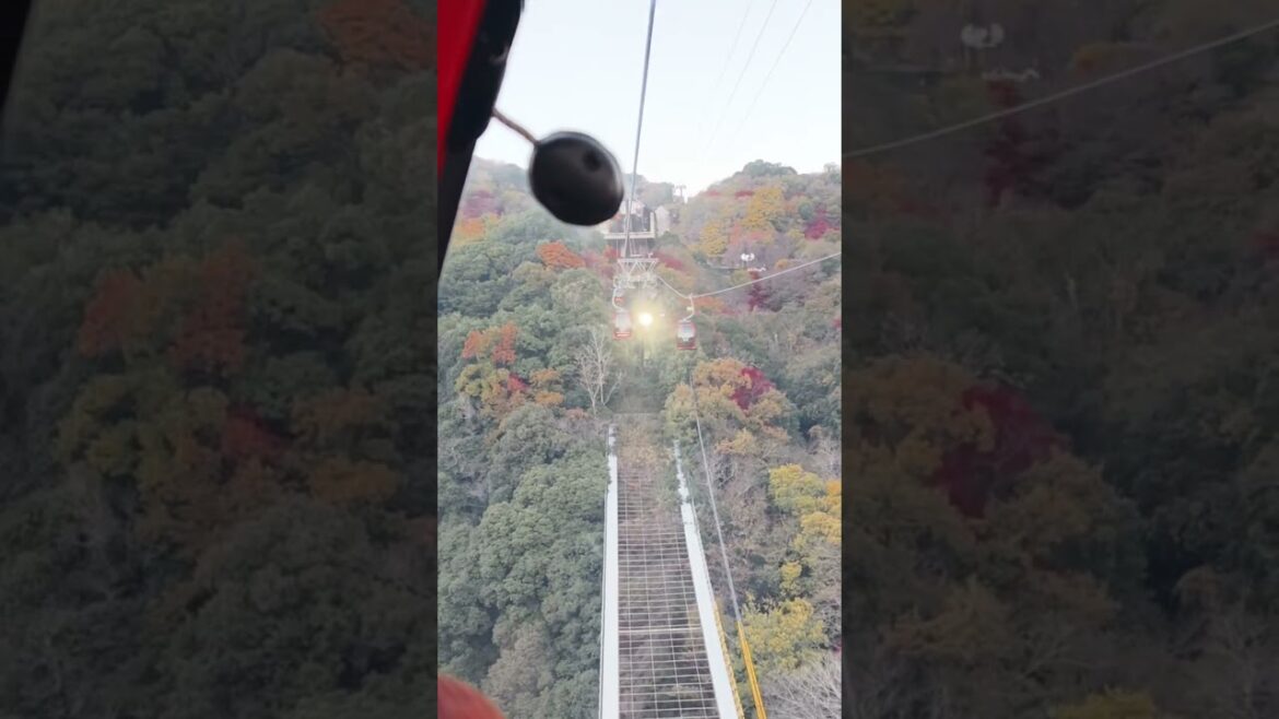 Kobe top view #kobe #topview #birdeyeview #cityview #ropewayride #ropeway #japan #travel