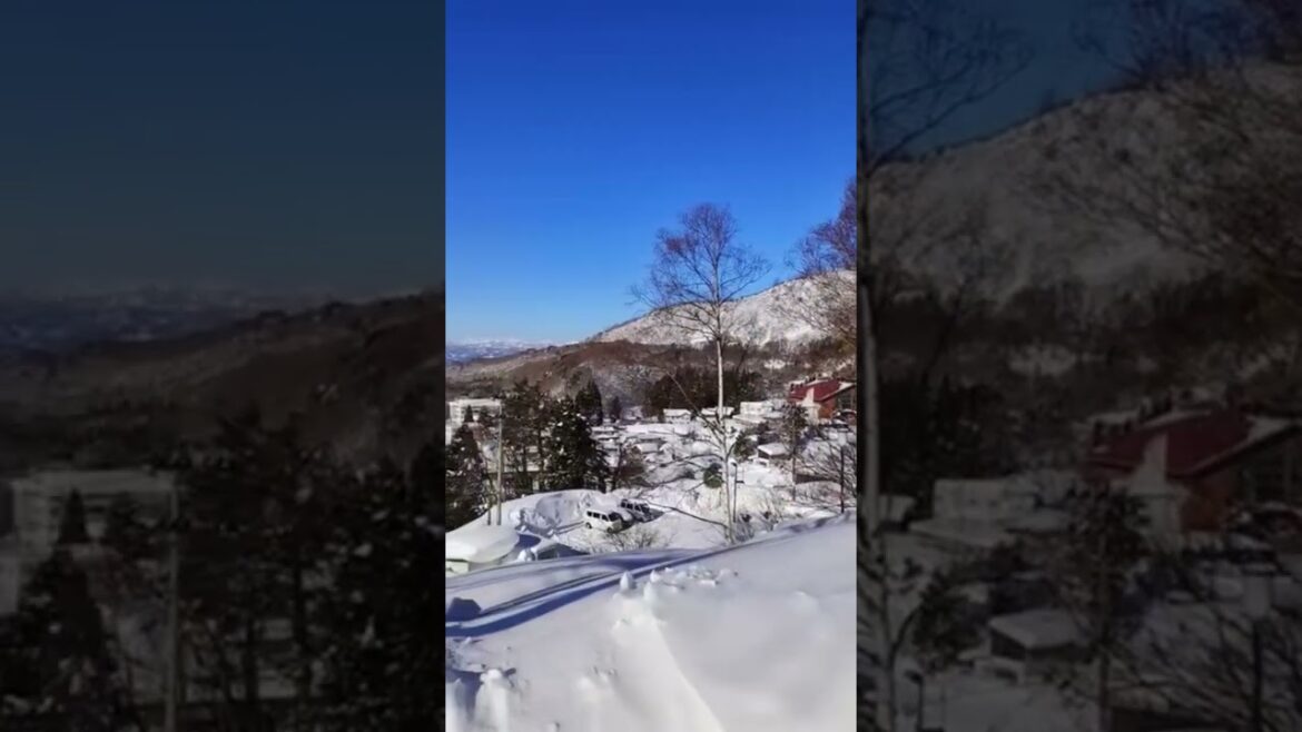 Yamagata Tohoku #shorts #winter #山形 #yamagata #tohokujapan #japantravel #snow #winterwonderland