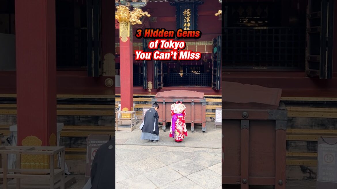 Must Visit!!🇯🇵🗼 #japan #japantips  #tokyo #hiddengems