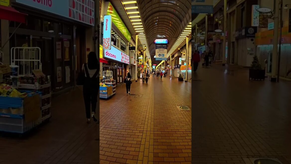"Kobe Night walk"#viral #japan #night #kobe #shorts #shortvideo #gaijin #fun