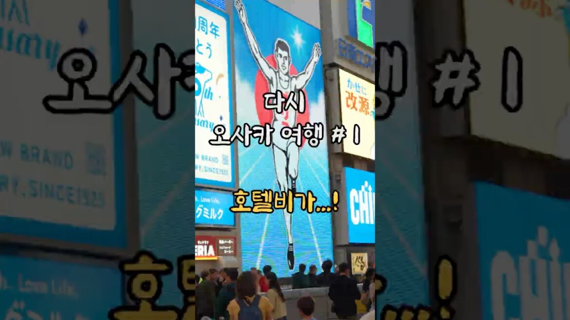 이제 다시 가성비 오사카 여행 쌉가능 이제 다시 가성비 오사카 여행 쌉가능