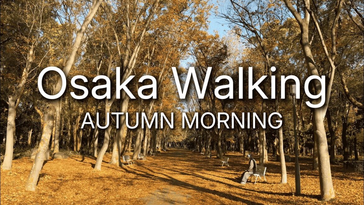 The Quiet Side of Osaka Most Tourists Never See | Osaka Castle Park & Castle(Autumn)|No Talking | 4K