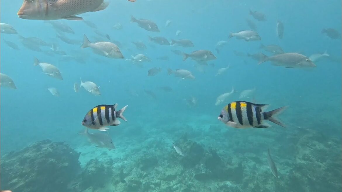 2025.12 - Winter family trip to Okinawa