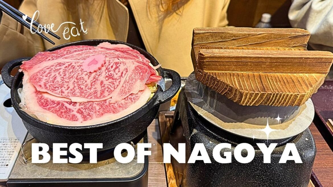 The Best Of Nagoya In One Day π―π΅ Travel Vlog The Best Of Nagoya In One Day π―π΅ Travel Vlog