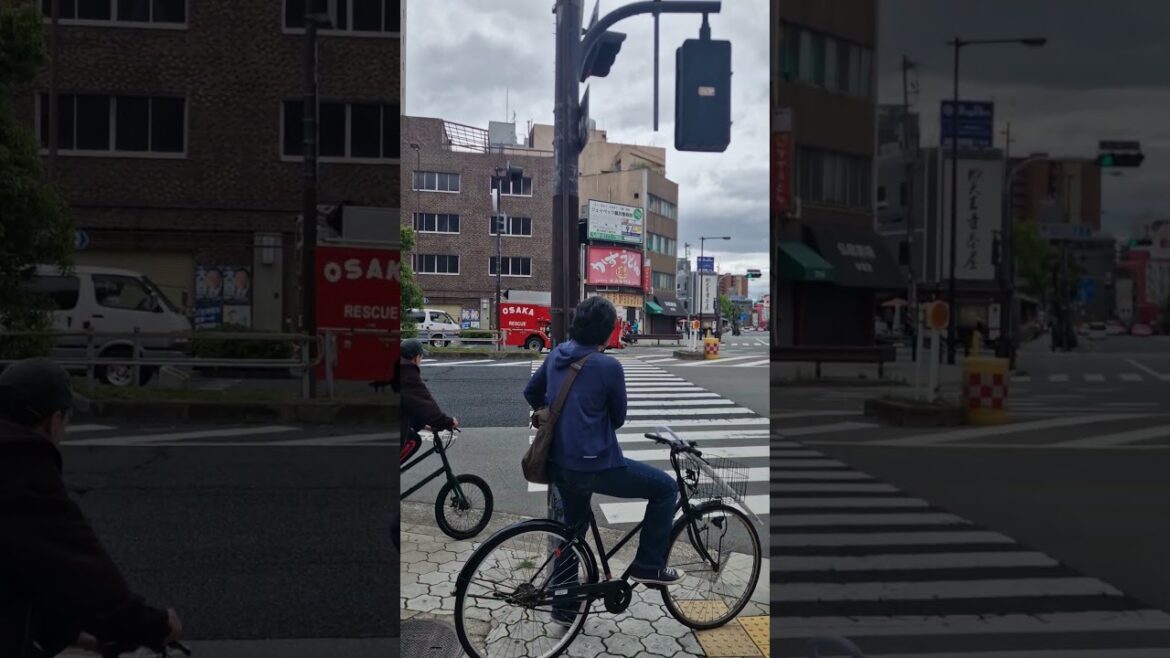 sounds of japan #japan #travel #osaka #japantravel sounds of japan #japan #travel #osaka #japantravel