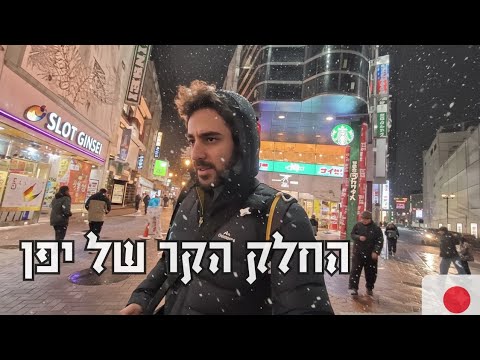 הדרך העתיקה בין טוקיו וקיוטו | וולוג יפן פרק 3 הדרך העתיקה בין טוקיו וקיוטו | וולוג יפן פרק 3