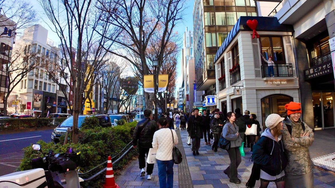 4K walking tour on Aoyama Avenue , in Omotesando and Harajuku. Tokyo, Japan. 4K walking tour on Aoyama Avenue , in Omotesando and Harajuku. Tokyo, Japan.