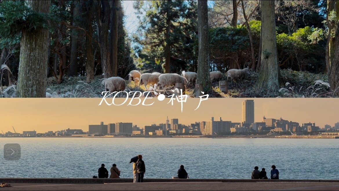 Where to Go in Kobe for a Relaxing Day | Rokko Mountain Pasture | Maiko Park | Travel Inspiration
