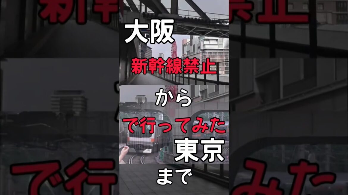 大阪から東京まで新幹線禁止(普通列車だけ)で行ってみた #鉄道 #ショート