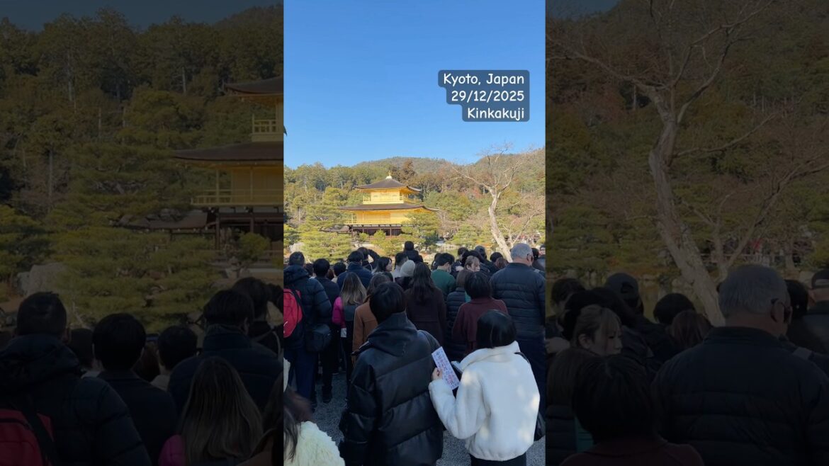 KYOTO, Japan | 年末の金閣寺☀️