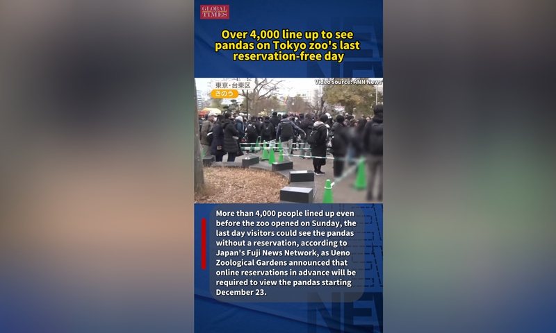 Over 4,000 line up to see pandas on Tokyo zoo’s last reservation-free day Over 4,000 line up to see pandas on Tokyo zoo's last reservation-free day