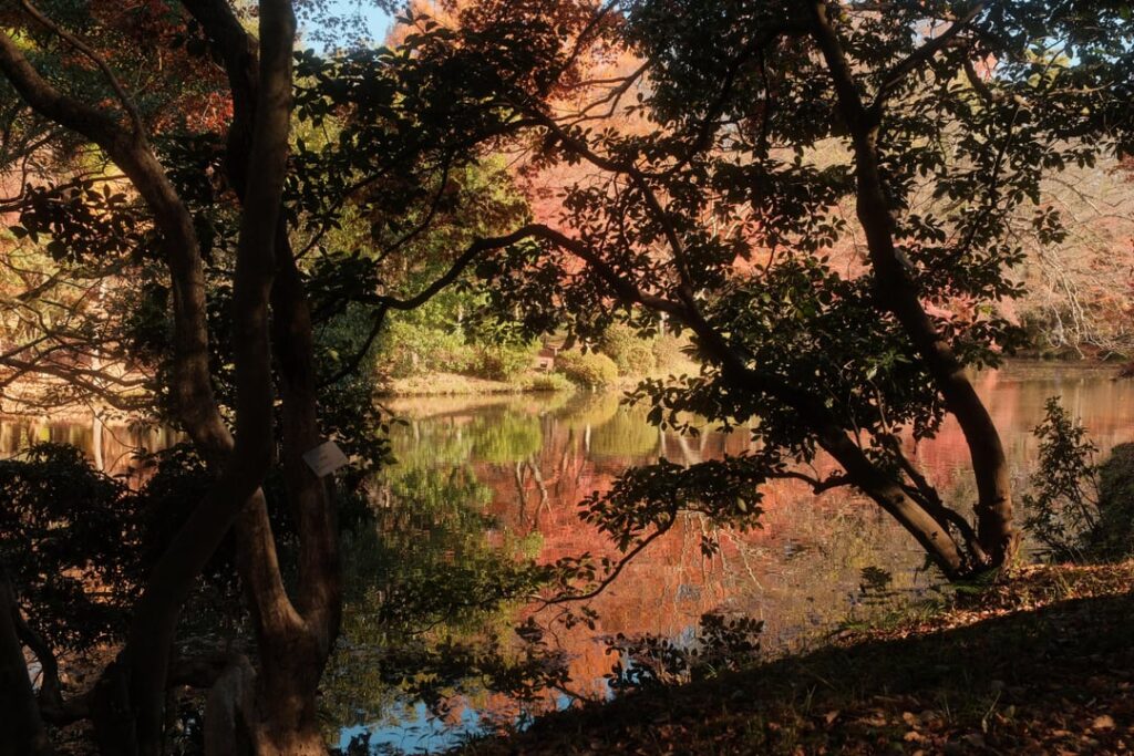 Just... Flowers and Kyoto