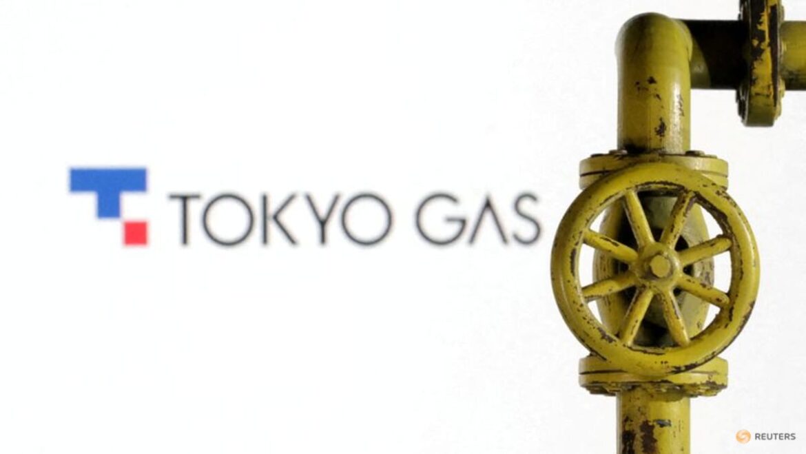 Tokyo Gas to steer more than half of overseas investments to US in next 3 years, CEO says Tokyo Gas to steer more than half of overseas investments to US in next 3 years, CEO says