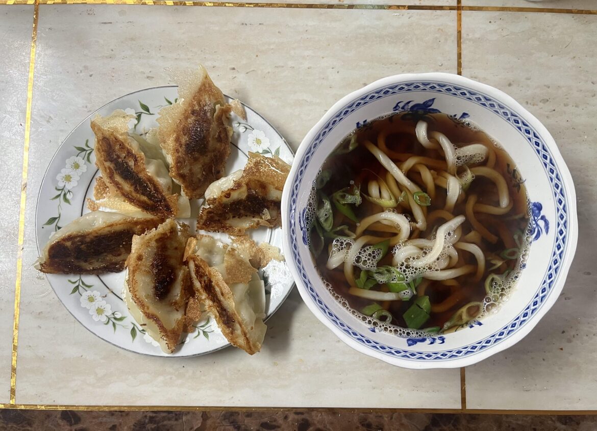 Home made) gyoza + udon