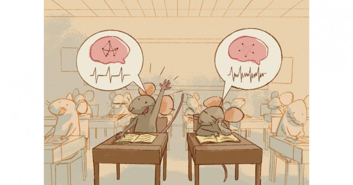 When neural spikes break time's symmetry