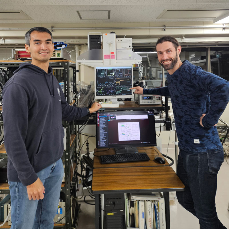 文章を入れてください