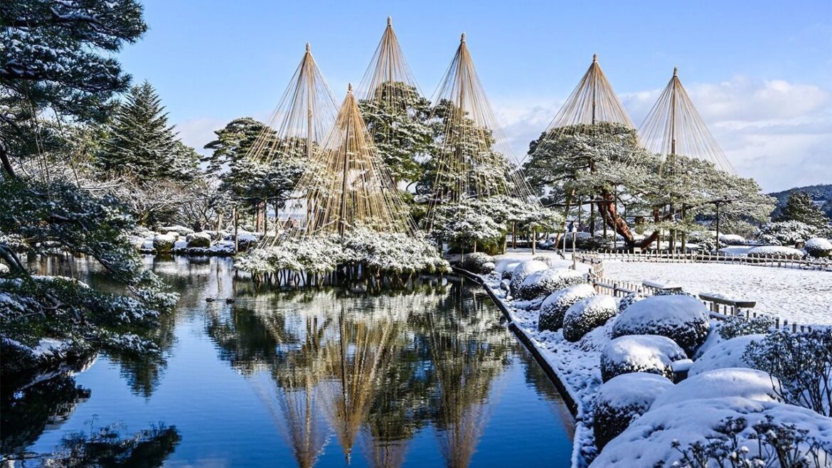 Yukizuri: A Traditional Technique for Protecting Trees in Winter Yukizuri: A Traditional Technique for Protecting Trees in Winter