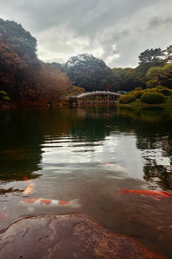 Takamatsu last September