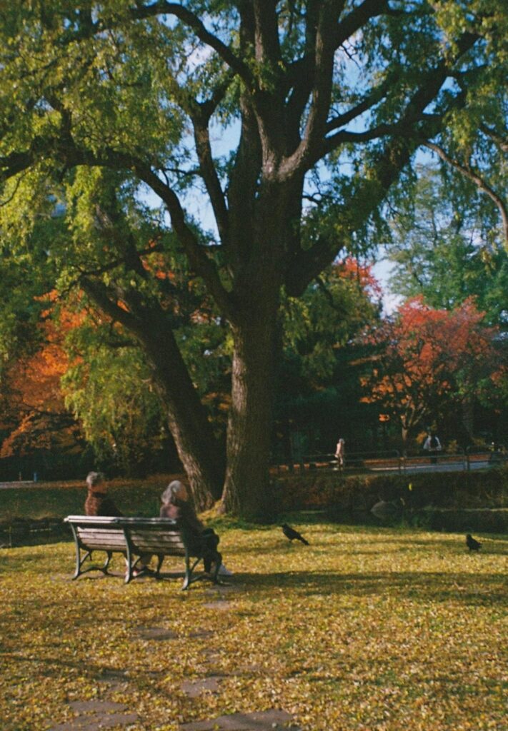Autumn in Sapporo 🍂