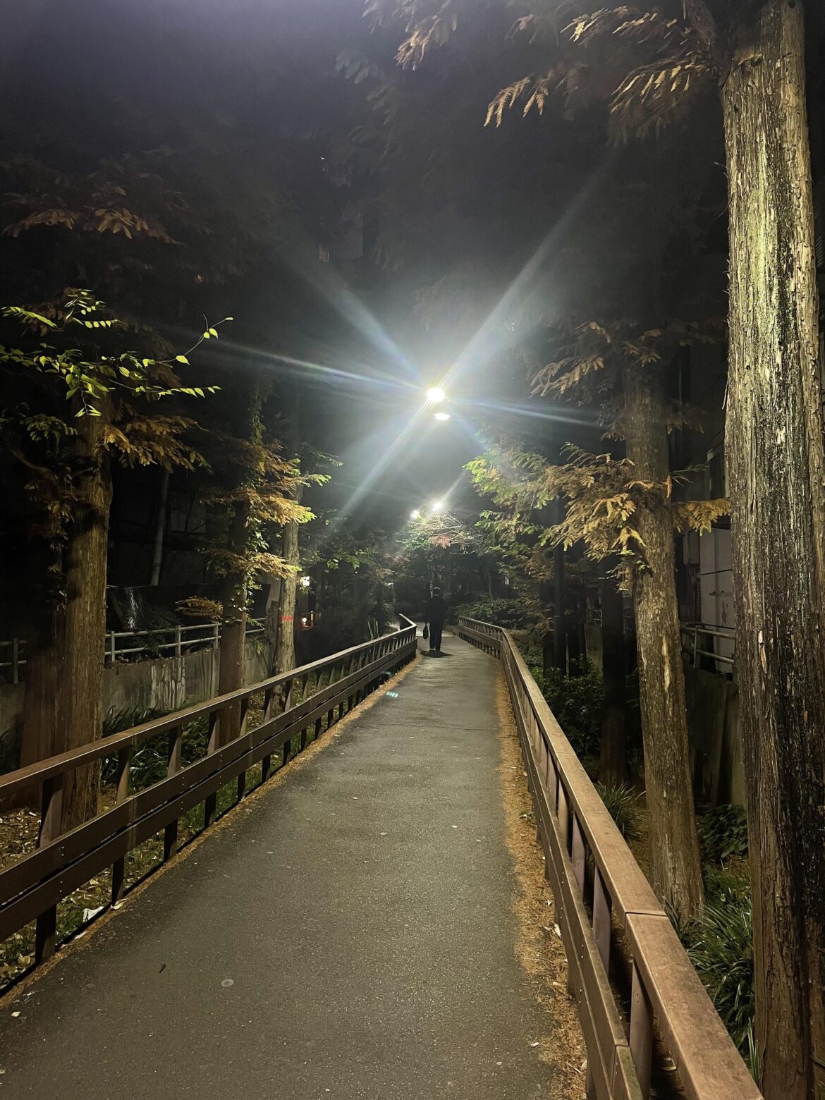 [OC, took with my IPhone] Shinjuku, Tokyo, Japan (2025/12/17)