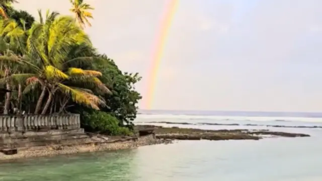 A rainbow can be seen next to palm trees on a beach