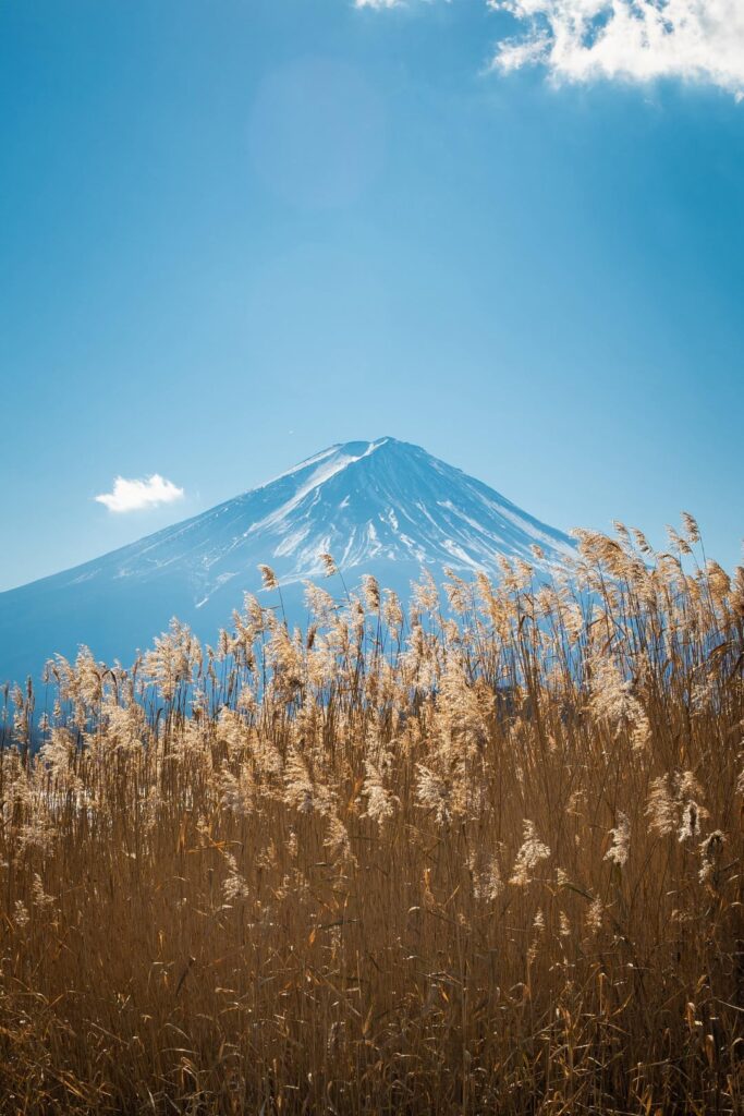 Mt. Fuji