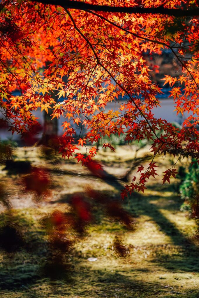 Autumn at Nanzenji Temple in Kyoto