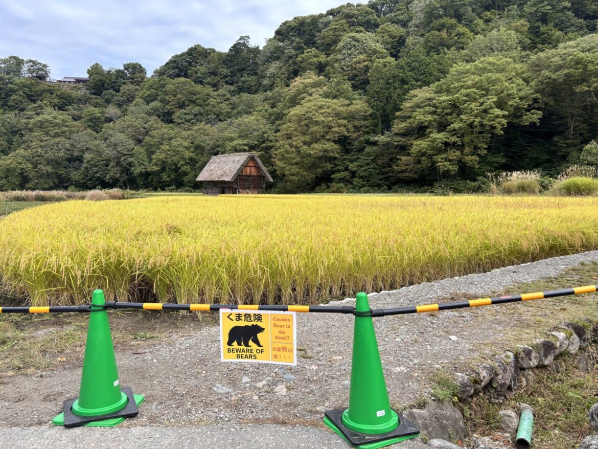 GPS watch of hiker killed in Hokkaido bear attack shows last movements