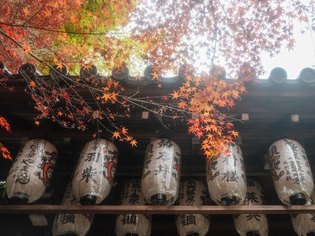 Some more frames from my recent trip