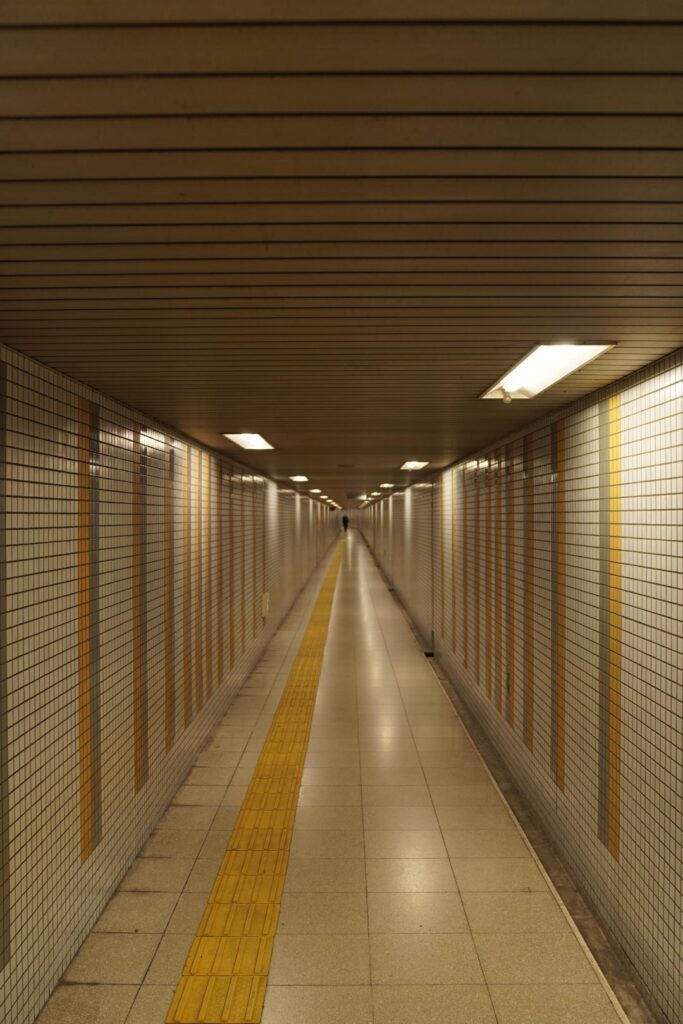 Japan is a liminal space goldmine