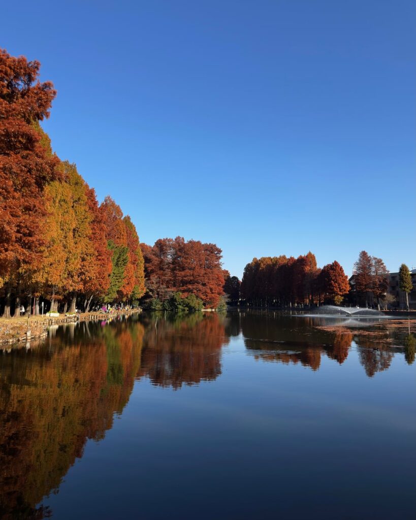 Saitama Municipal Bessho-numa Park