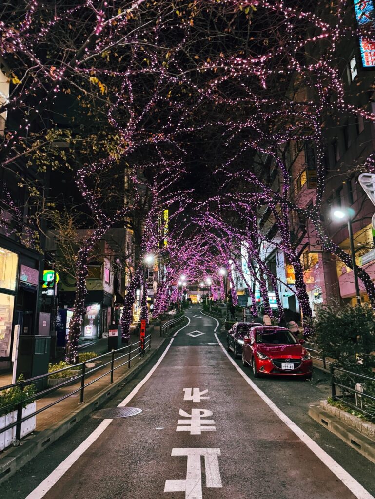 Tokyo Winter Illuminations (December, 2025)